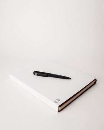 FIDE 100 Soft touch “A century for chess” pen