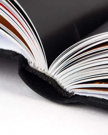 Book "Capture"
